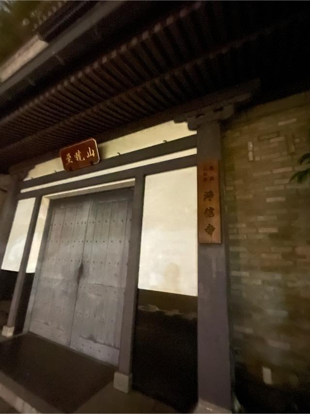 至暁山 浄信寺の参拝記録1