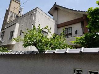 量雲山 金臺寺の参拝記録(ふみにゃんさん)