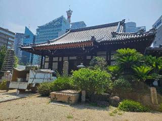 清浄瑠璃山 念仏三昧院 源光寺の参拝記録(すみれさん)