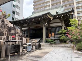 悟眞山 善導寺の参拝記録(ととるしさん)