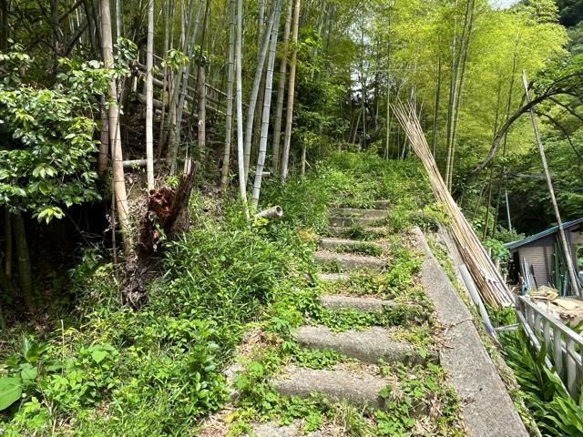 金剛寺の写真1