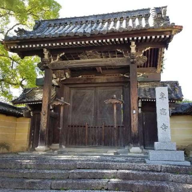 戸森山　専應寺の写真1