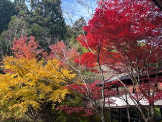大澤山 久安密寺(久安寺)の参拝記録(アップルベアさん)
