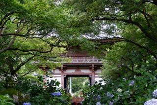 大澤山 久安密寺(久安寺)の参拝記録(Ｔさん🍁さん)