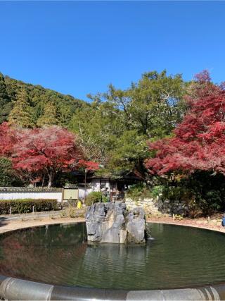 大澤山 久安密寺(久安寺)の参拝記録(はまちゃんさん)