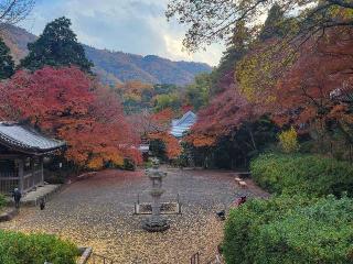 大澤山 久安密寺(久安寺)の参拝記録(にゃんこさん)