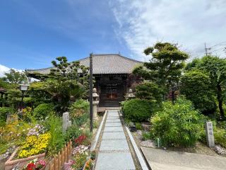 圓通山 普門院 觀音禪寺の参拝記録(ととるしさん)