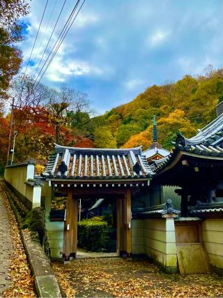 法照寺の参拝記録(ふうりんパパさん)