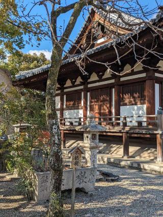 道明寺の参拝記録(たこやきさん)