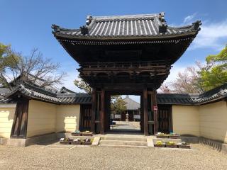 道明寺の参拝記録(けんじさん)