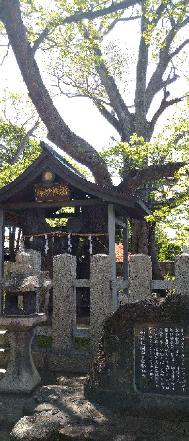神妙椋樹山 大聖勝軍寺(下の太子)の参拝記録5