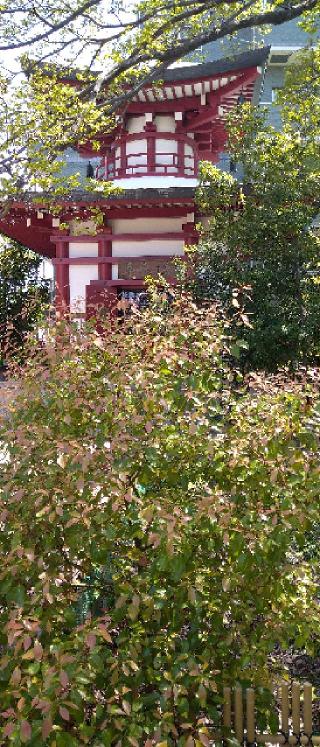 神妙椋樹山 大聖勝軍寺(下の太子)の参拝記録(お寺でポンタさん)
