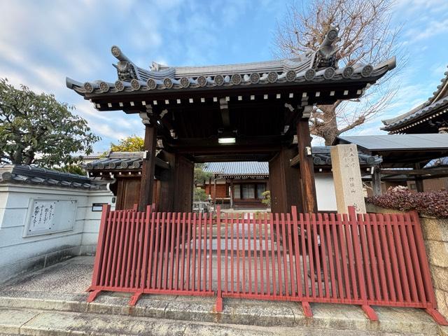 椋橋山 光国寺の写真1