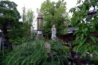 仏日山 東光院(萩の寺)の参拝記録(Ｔさん🍁さん)