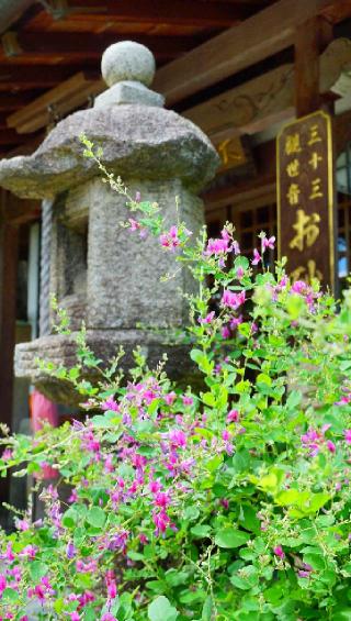 仏日山 東光院(萩の寺)の参拝記録(布袋大国さん)