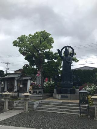 豊中不動寺の参拝記録(みぃ太さん)