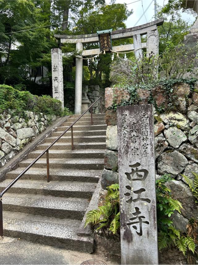 西江寺の参拝記録4