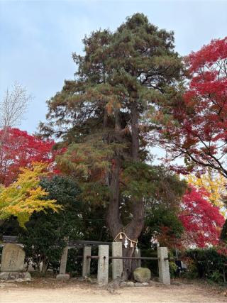 西江寺の参拝記録(Hiro39さん)