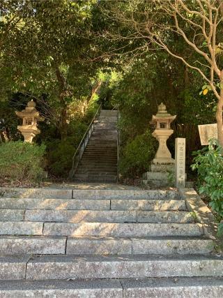 松尾寺(泉州松尾寺)の参拝記録(はまちゃんさん)