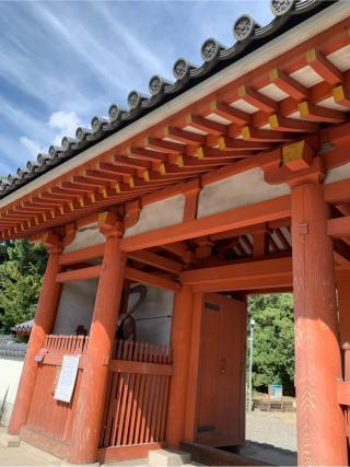 青龍山 德連院 野中寺(中の太子)の参拝記録(はまちゃんさん)