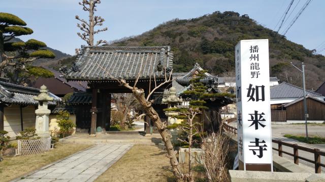 兵庫県たつの市竜野町大手65 如来寺の写真2