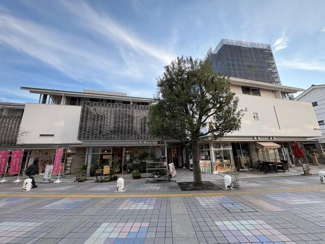 兵庫県伊丹市伊丹2-3-37 慈雲山 本泉寺の写真4