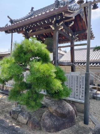 大覚山 妙宣寺の参拝記録(さとみさん)