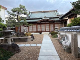 大雄山 最禅寺の参拝記録(ととるしさん)