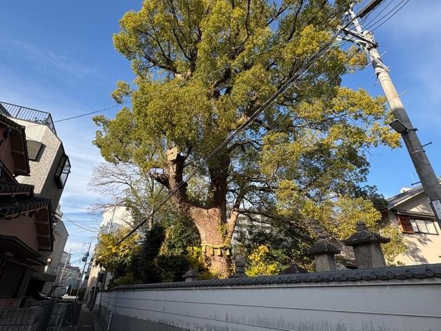 兵庫県伊丹市中央2-6-16 法巖寺の写真2