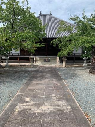 念仏山 教信寺の参拝記録(おおくすさん)