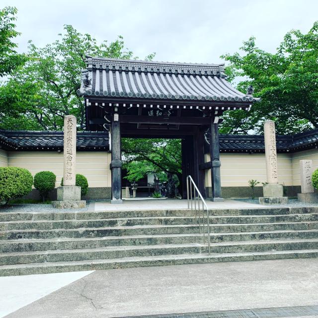 念仏山 教信寺の参拝記録8