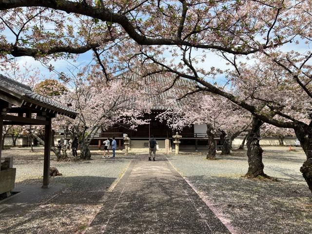 念仏山 教信寺の参拝記録2