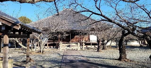 念仏山 教信寺の参拝記録3