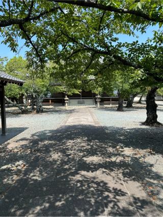 念仏山 教信寺の参拝記録(清正さん)