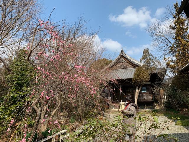 兵庫県加西市北条町北条1293 羅漢寺の写真3