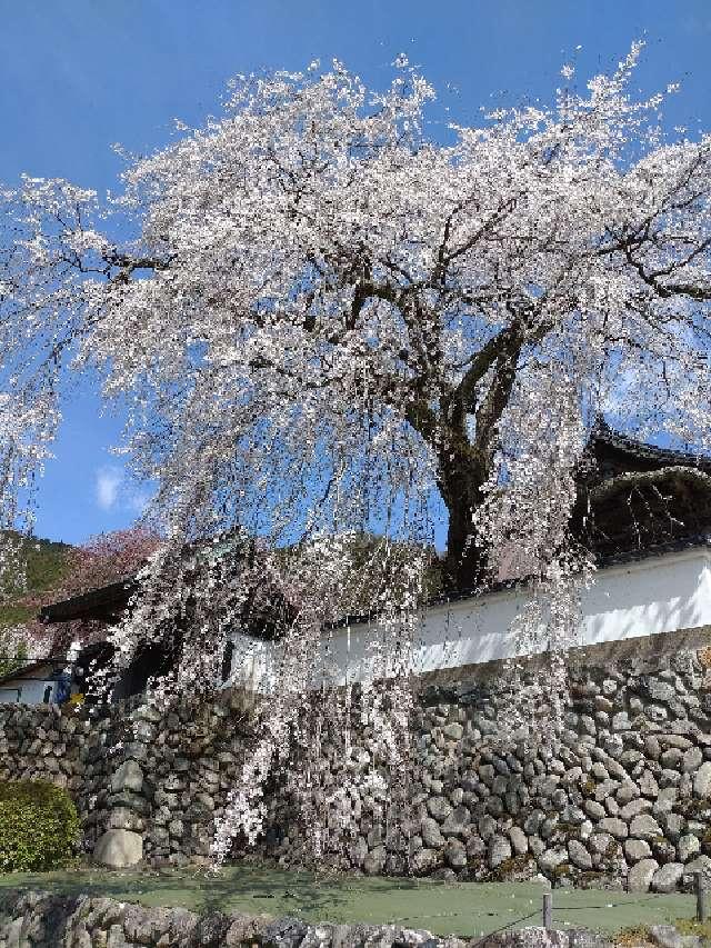 光福寺(播磨一本堂)の参拝記録1