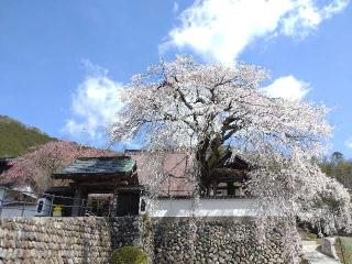 光福寺(播磨一本堂)の参拝記録(亜子さん)
