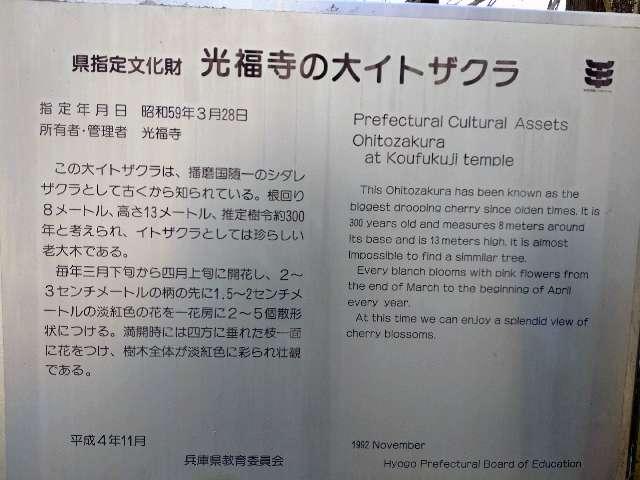 兵庫県佐用郡佐用町漆野282 光福寺(播磨一本堂)の写真3