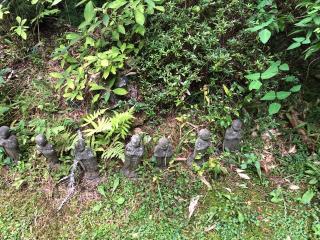 安泰山 大國寺の参拝記録(ちゃんさん)