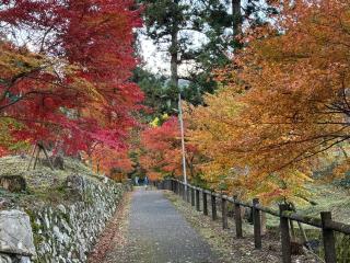 松尾山 文保寺の参拝記録(はとさん)