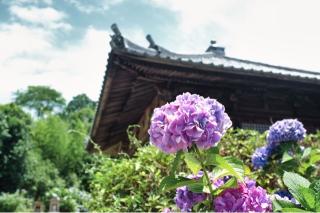 極楽山 浄土寺の参拝記録(ハンパ者さん)