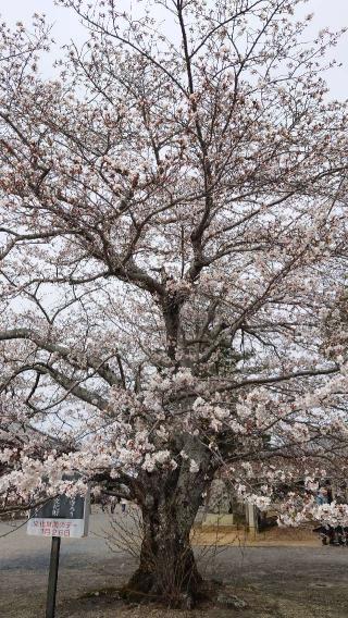 極楽山 浄土寺の参拝記録(みかリンさん)