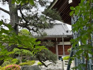 曲江山 常源寺の参拝記録(ととるしさん)