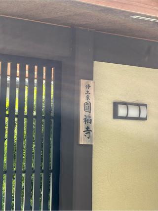 求法山 護念院 圓福寺の参拝記録(ととるしさん)