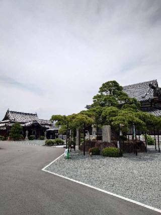 台雲山 花岳寺の参拝記録(おざりんさん)