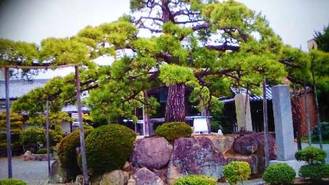 兵庫県赤穂市加里屋1992 台雲山 花岳寺の写真3