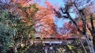 高源寺の参拝記録(のとゆささん)