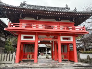 護国寺の参拝記録(placerisierさん)