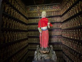 旭照山 医王院 東光寺の参拝記録(ととるしさん)