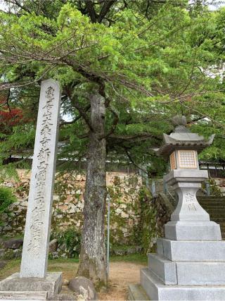 大乗寺の参拝記録(はまちゃんさん)